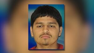 19-year-old charged for deadly Gainesville crash, hindering investigation