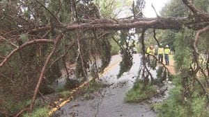 Trees knocked down, homes damaged by storms through Georgia