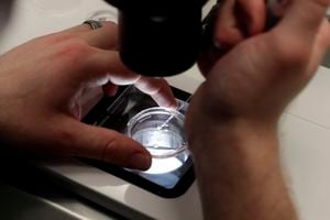 Georgia IVF bill heads to governor's desk for signature