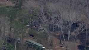 Wildfire scorches acres of woods along I-20 in Douglasville