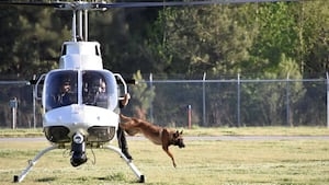 K9 ‘Mantracker' training underway in Coweta County
