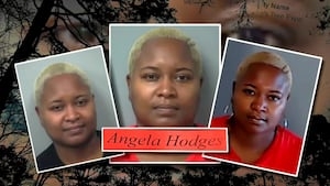 ‘That's problematic:' Woman accused of taking money from homeowners instead of cutting down trees