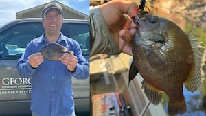 GA fishers keep setting records catching spotted sunfish