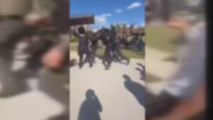 Sheriff blames parents after brawl at Cheerwine Festival that left officer, deputy hurt