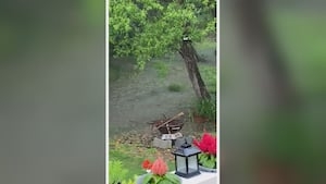 Flooding issues? This program could help pay repairs