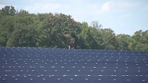 Solarize Charlotte-Mecklenburg to launch in June