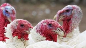 NC poultry flocks test positive for highly pathogenic bird flu