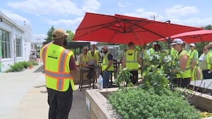 Clean the Queen effort rallies Charlotte volunteers ahead of Earth Day