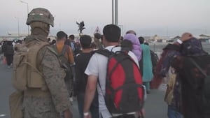 ‘They'll kill us': Afghan immigrant told to self-deport, lawyer says he entered US legally