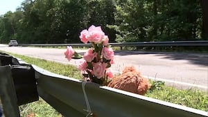‘Tragic loss': Community mourns 8-year-old girl killed in head-on crash