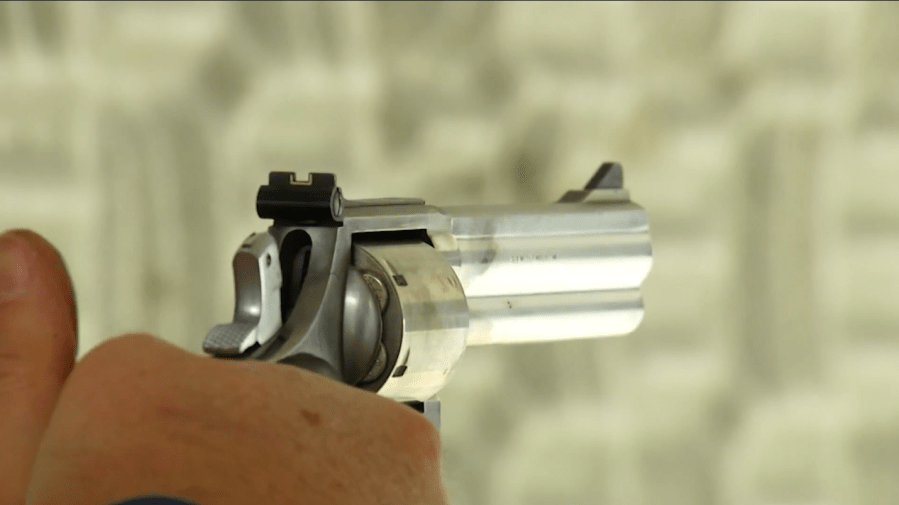 New bill aims to keep gun owners' information private