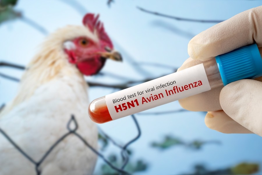 Likelihood bird flu is exposed to humans