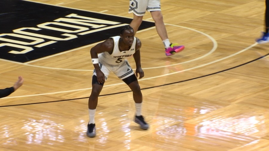 Former Wofford, Upstate guard Bailey lands at Georgia