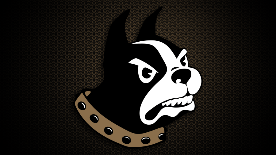 Wofford rolls past The Citadel 12-4 in SoCon baseball tournament