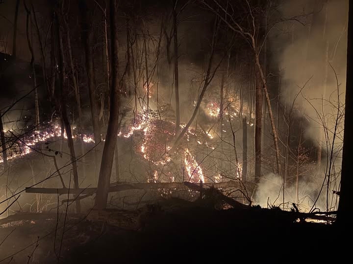 Emergency Management: Firefighter rescued after being trapped under tree in Polk County