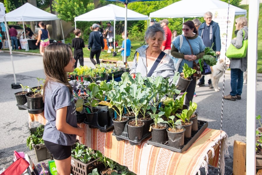 Hendersonville Farmers Market opens for season on newly renovated 7th Avenue