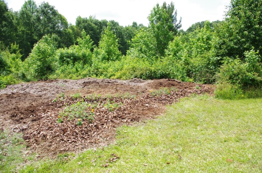 Grow a row of crops for Loaves and Fishes Greenville food rescue