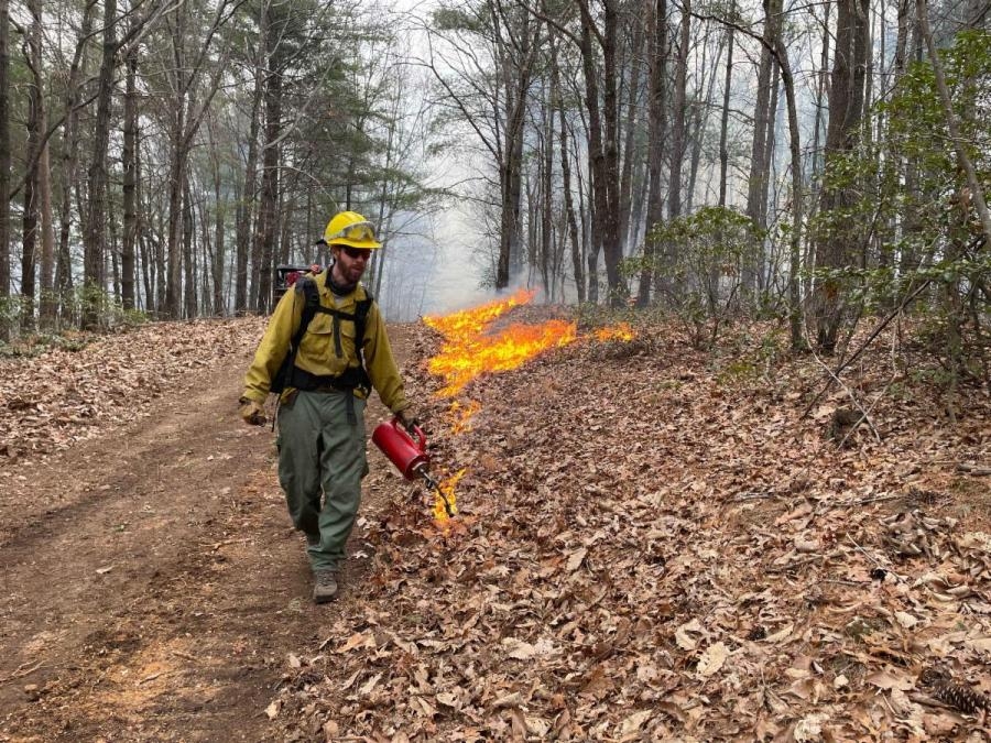 North Fork Fire in McDowell Co. up to 350 acres, now 40% contained