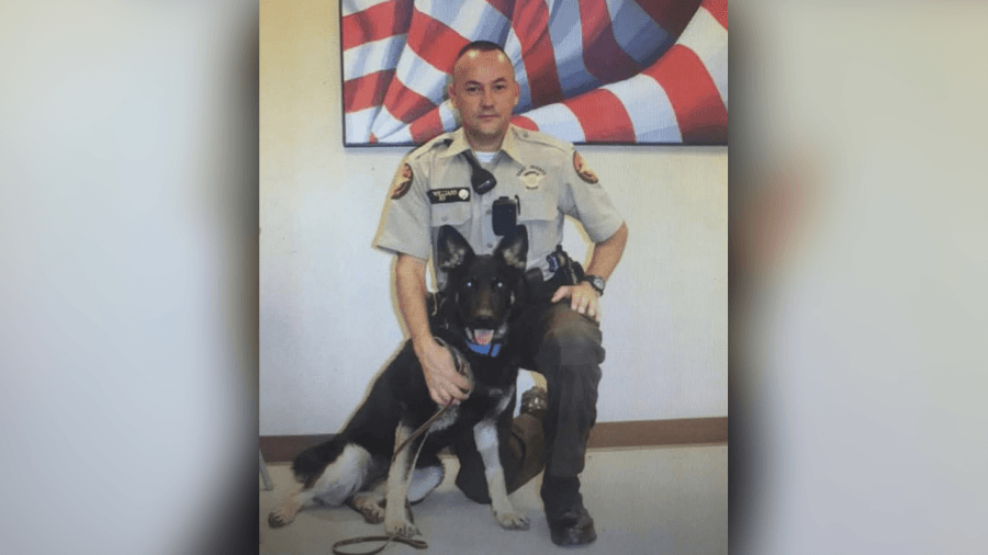 ‘Rest easy': Hart Co. deputies mourn loss of retired K-9