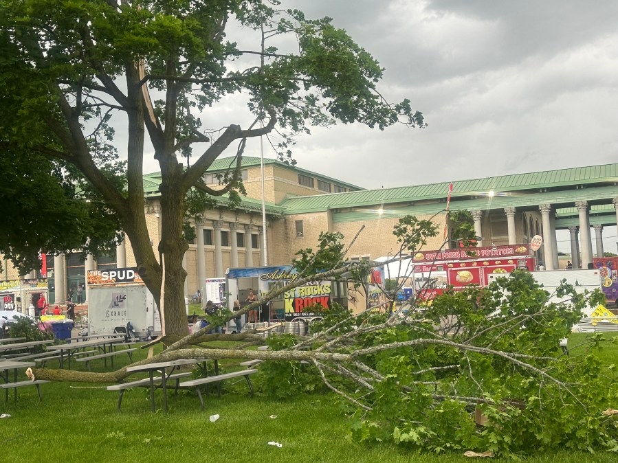 Winds bring down trees at New York State Fairgrounds as people at Food Truck Battle warned to take shelter