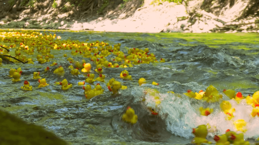 Auburn's Duck Derby will look different this year