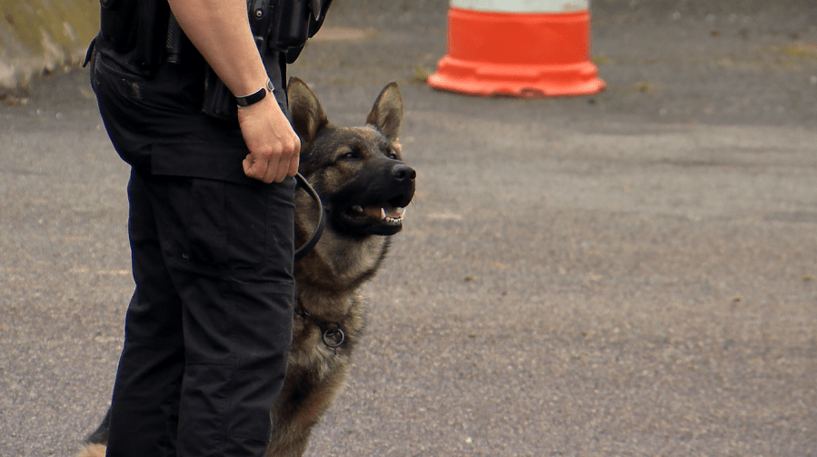 K-9 graduation: Congratulations, patrol tracking class of 2025