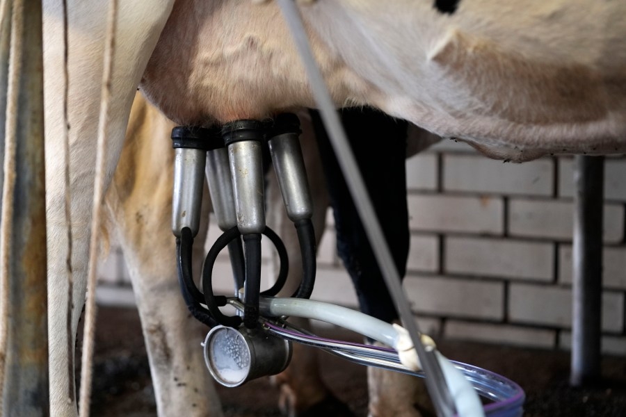 ‘Got milk?' Pennsylvania milk delivery restrictions may be a thing of the past