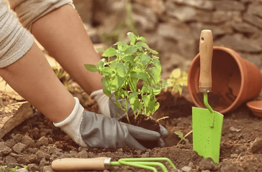 Travel Tuesday: Gardens becoming a more important part of the hotel experience