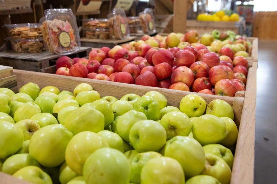Over $130K awarded to connect communities with fresh food made by Central Pennsylvania farms