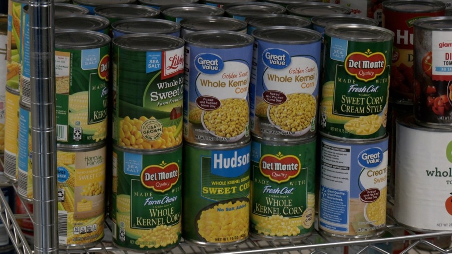 ALICE report reveals local households struggling to afford basics