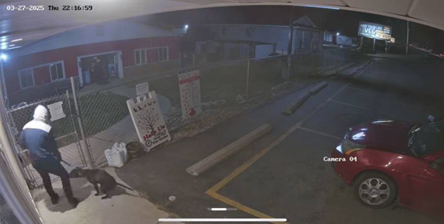 WATCH: Blair County animal shelter looking for person who abandoned dog