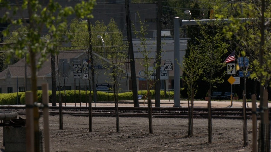 Vision Together 2025 prepares to plant 400 trees in Johnstown