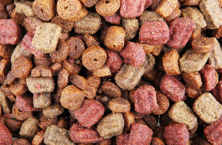 Cambria County hosting pet food drive to support local shelters
