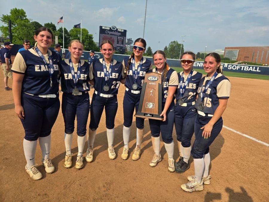 Bald Eagle Area softball falls short in PIAA championship