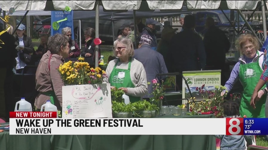 Community members ‘Wake Up' New Haven Green