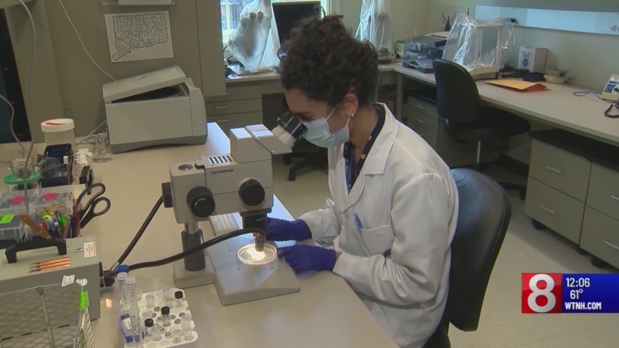 Tick season 2025: What to know as disease risk rises