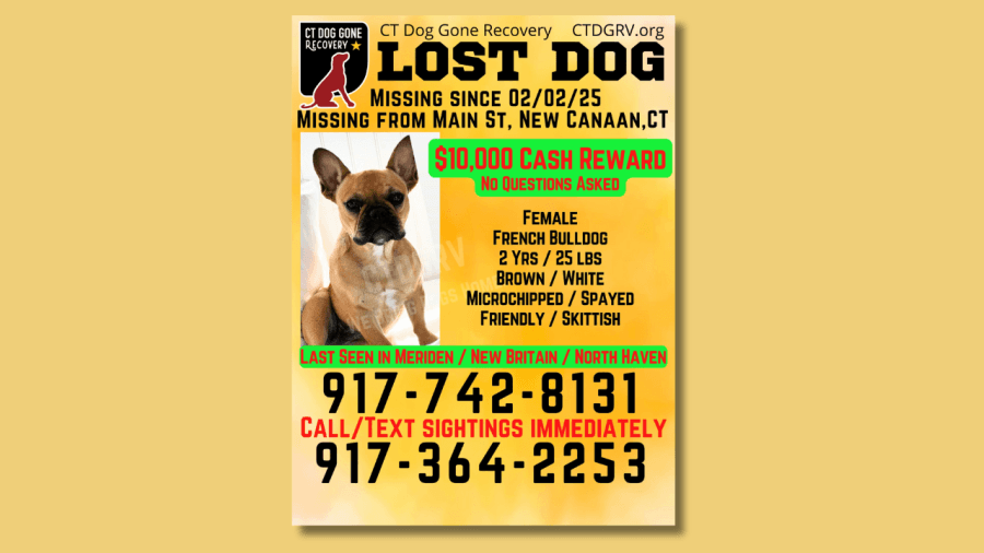 French bulldog ‘Poppy' reported in stolen SUV reunited with family