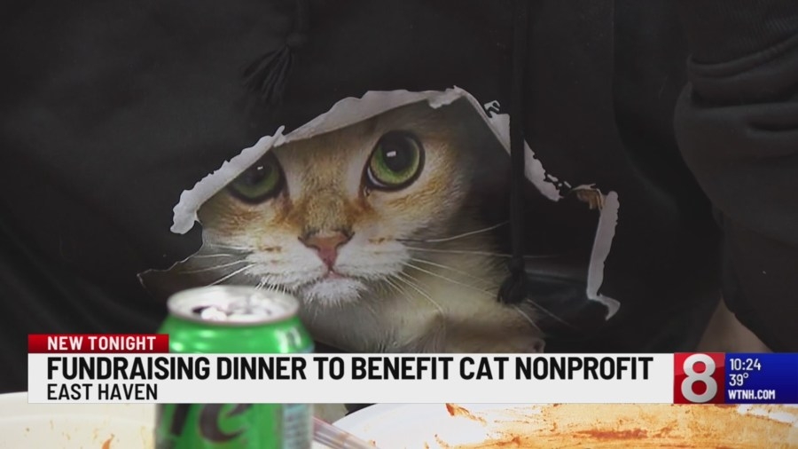Dinner raises money for New Haven Cat Project