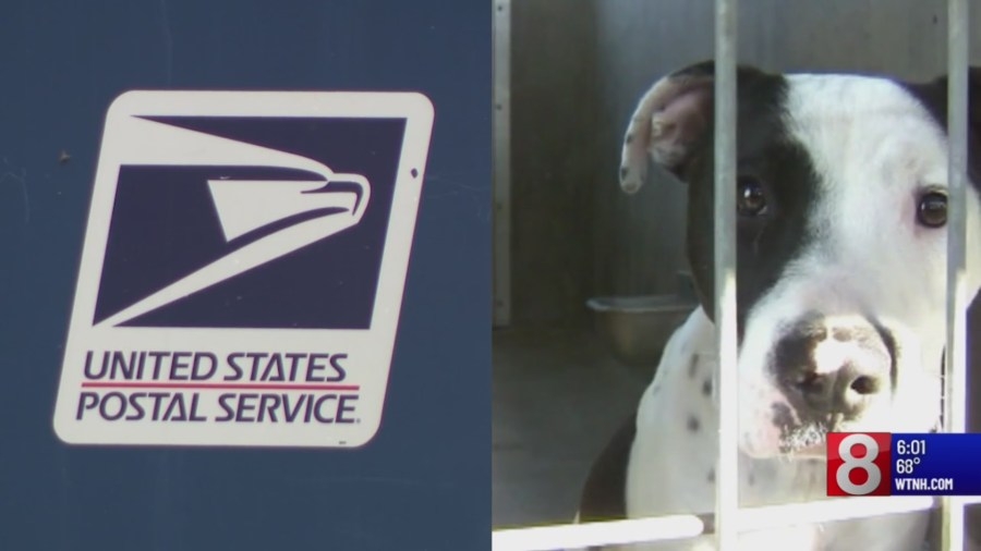 Middletown mailman bit by pit bull days after USPS launched dog bite awareness campaign