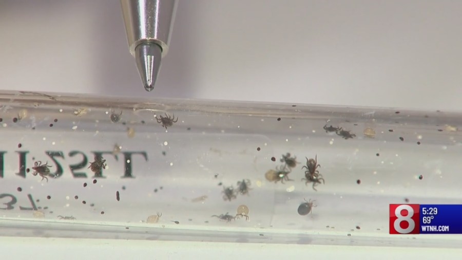 Yale doctor: New vaccine for Lyme disease shows promise
