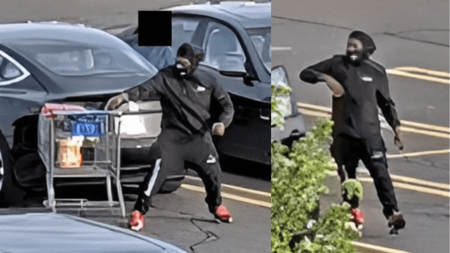 Plainville police search for alleged purse snatcher