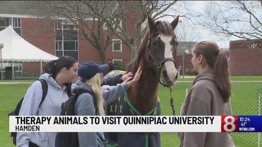 Therapy pets visit Quinnipiac University