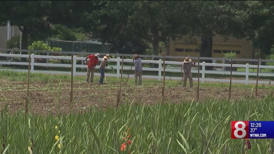 Connecticut lawmakers say $220M grant will help small farms affected by severe weather
