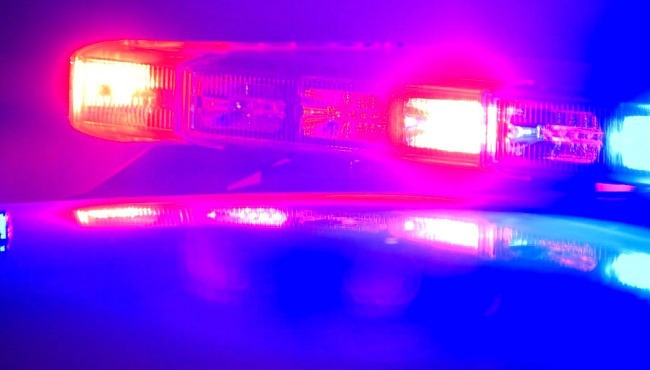 Tree falls on person in Windham, serious injuries