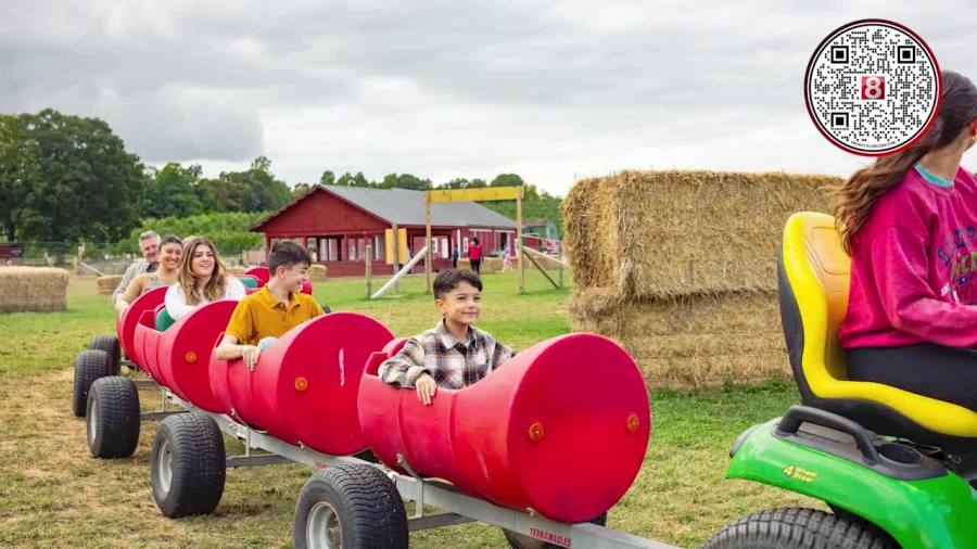 8 Things to do this weekend: Mother's Day events, Hot Wheels Monster Trucks Live & Apple Blossom Festival