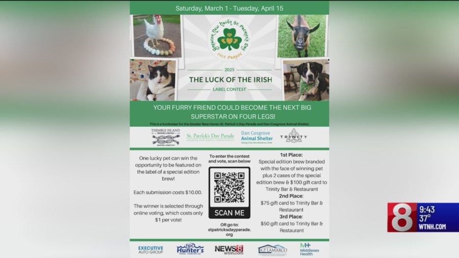Luck of the Irish label contest: Your pet could be featured on a beer label at Thimble Island Brewing Company