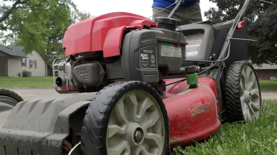 Mow your lawn or City of Rockford could fine you this much