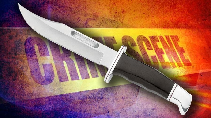 Police hunt for woman with knife after stabbing at Rockford hotel