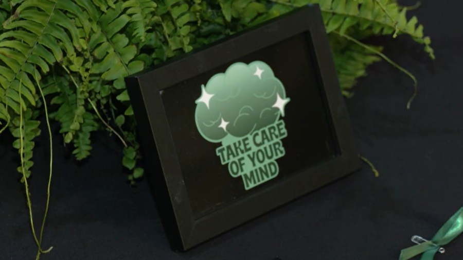 Rockford area organizations unite to address mental health issues