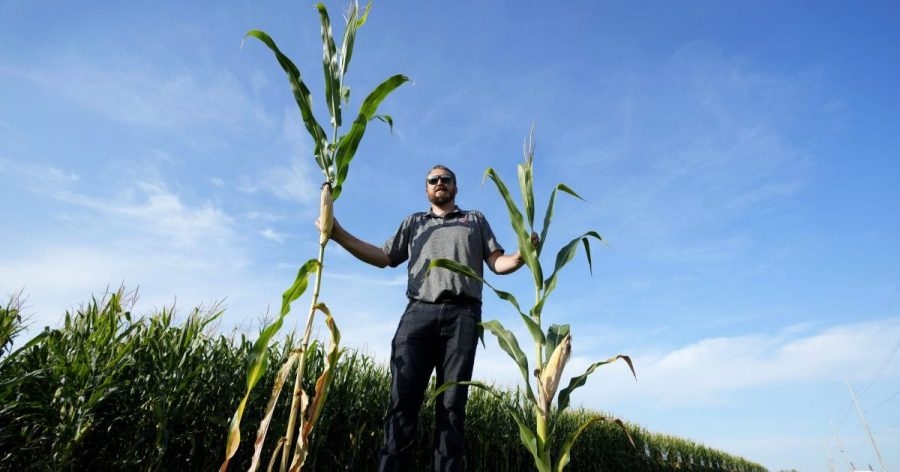 Trump's USDA cuts hurt Illinois farmers and food-insecure communities
